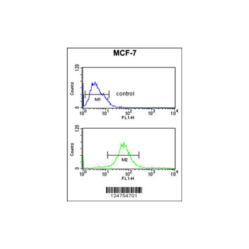 MRPS25 antibody - C-terminal region (OAAB06451) in MCF-7 using Flow Cytometry