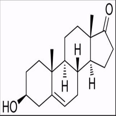 脱氢表雄甾酮(DHEA)53-43-0