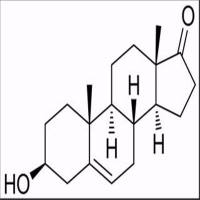 脱氢表雄甾酮(DHEA)53-43-0