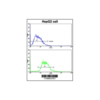 GCG antibody - N-terminal region (OAAB03502) in HepG2 using Flow Cytometry
