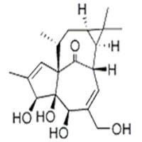 巨大戟醇30220-46-3