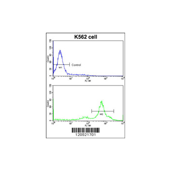 CCT3 antibody - center region (OAAB01653) in K562 using Flow Cytometry