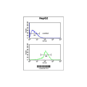 SFT2D3 Antibody (OAAB02685) in HepG2 using Flow Cytometry