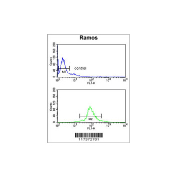 U2AF1 Antibody (OAAB01511) in Ramos using Flow Cytometry