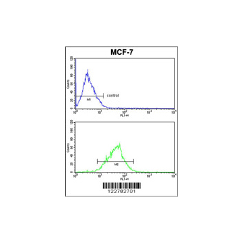 MDFIC antibody - N-terminal region (OAAB05305) in MCF-7 using Flow Cytometry