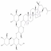 酸枣仁皂苷B55466-05-2