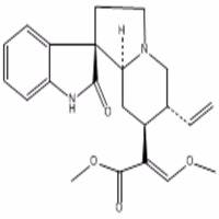 去氢钩藤碱630-94-4