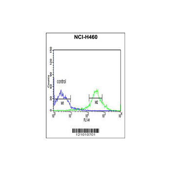 MYD88 antibody - center region (OAAB05114) in NCI-H460 using Flow Cytometry