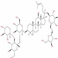 三七皂苷FP21004988-75-3