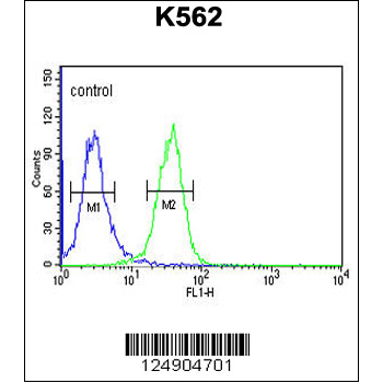 PGP antibody - N-terminal region (OAAB06453) in K562 using Flow Cytometry