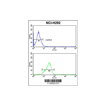 SFRS5 Antibody (OAAB03645) in NCI-H292 using Flow Cytometry