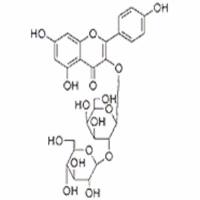 人参黄酮苷31512-06-8