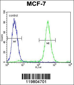 QTRTD1 Antibody (C-term) (OAAB07941) in MCF-7 using Flow Cytometric