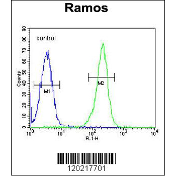 PAX5 antibody - center region (OAAB07949) in Ramos using Flow Cytometry