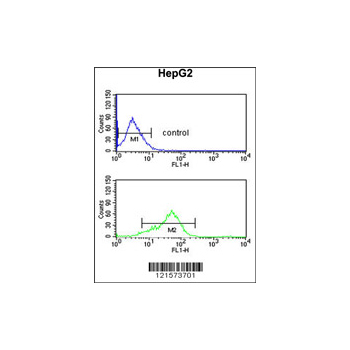 BANK1 antibody - center region (OAAB05262) in HepG2 using Flow Cytometry