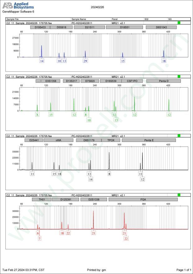 HT-3(人子宫颈癌细胞)