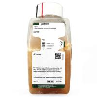 GIBCO-澳大利亚胎牛血清