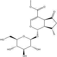 马鞭草苷分析对照品548-37-8