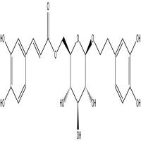 木通苯乙醇苷B分析对照品105471-98-5
