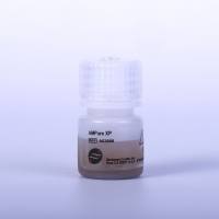 beckman贝克曼 AMPure XP_5 mL 核酸纯化试剂盒