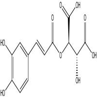 单咖啡酰酒石酸分析对照品67879-58-7