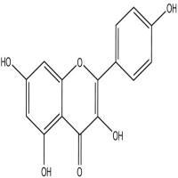山柰酚分析对照品520-18-3