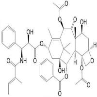 三尖杉宁碱分析对照品71610-00-9