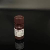 4-Hydroxyisoleucine 4-羟基异亮氨酸 标准品