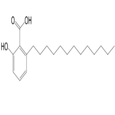 白果新酸分析对照品20261-38-5