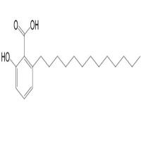 白果新酸分析对照品20261-38-5