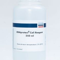 qiagen 凯杰优秀代理商 76526 RNAprotect Cell Reagent (250 ml)