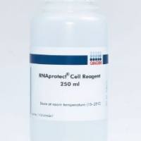 qiagen 凯杰优秀代理商 76526 RNAprotect Cell Reagent (250