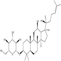 20(S)-人参皂苷Rh2分析对照品78214-33-2