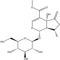 戟叶马鞭草苷鉴别对照品50816-24-5