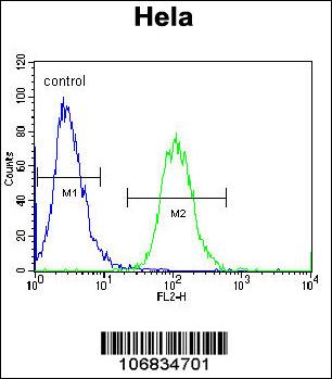 AURKA Antibody - C-terminal (OAAB18594) in Hela using Flow Cytometry