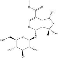 山栀苷甲酯分析对照品64421-28-9