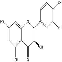 花旗松素分析对照品480-18-2