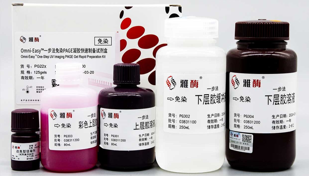 免染成像，让蛋白电泳嗨起来