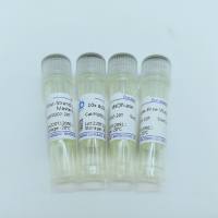 反转录试剂盒，三代酶（all-in-one）