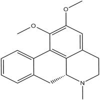 荷叶碱分析对照品