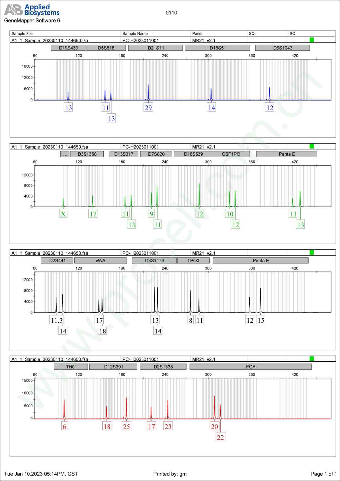 NCI-H1573(人肺癌腺癌细胞)