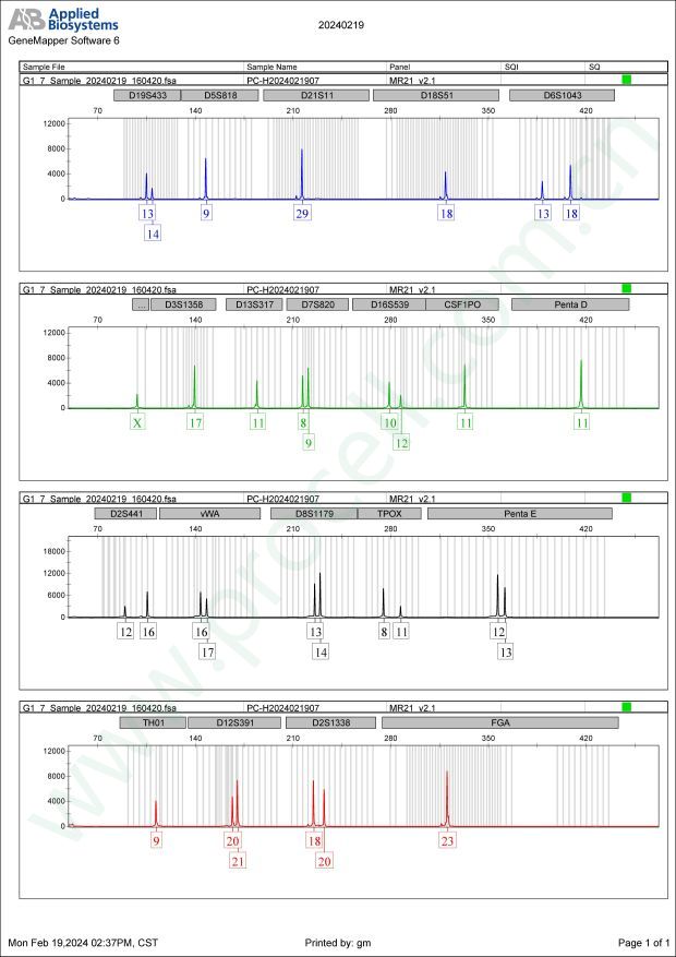NCI-H1568 [H1568]（人非小细胞肺癌细胞）