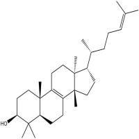 大戟二烯醇分析对照品514-47-6