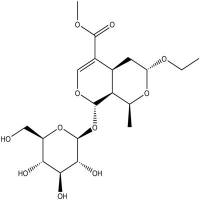 7-O-乙基莫诺苷945721-10-8