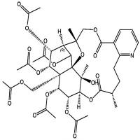 雷公藤新碱41758-69-4