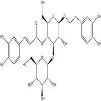 大车前苷分析对照品104777-68-6