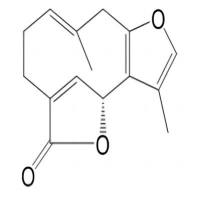 乌药内酯728-61-0