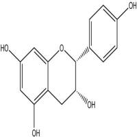 表阿夫儿茶精24808-04-6