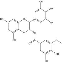 3’’-O-甲基表没食子儿茶素没食子酸酯83104-87-4
