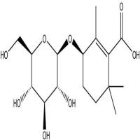 地黄苦苷104056-82-8